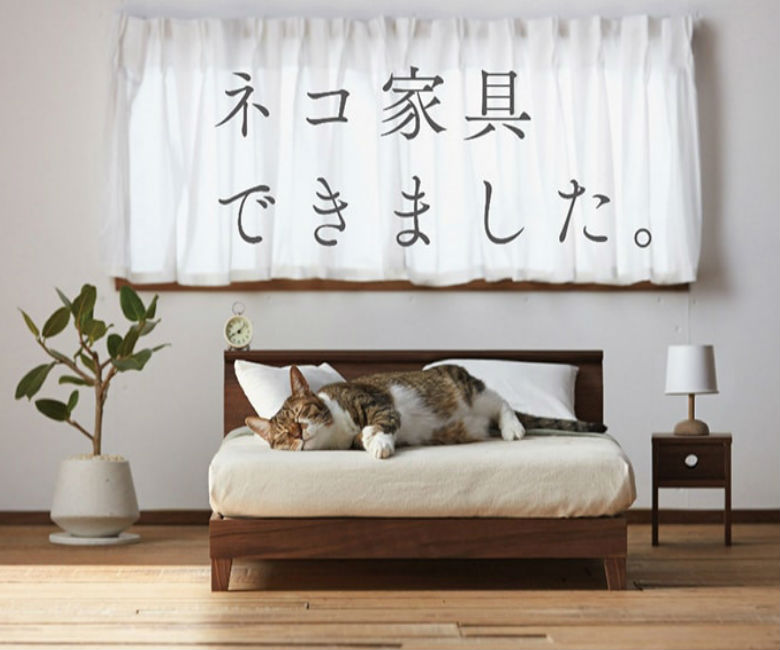 Irresistible línea de muebles para gato